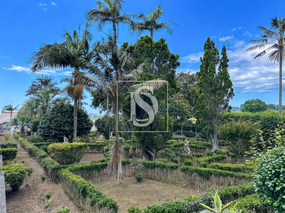 Quinta T10 para Venda em Fajã de Cima Foto 13