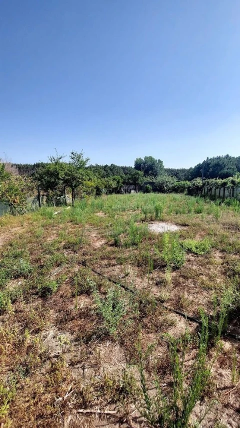 Terreno para Venda em Marrazes e Barosa
