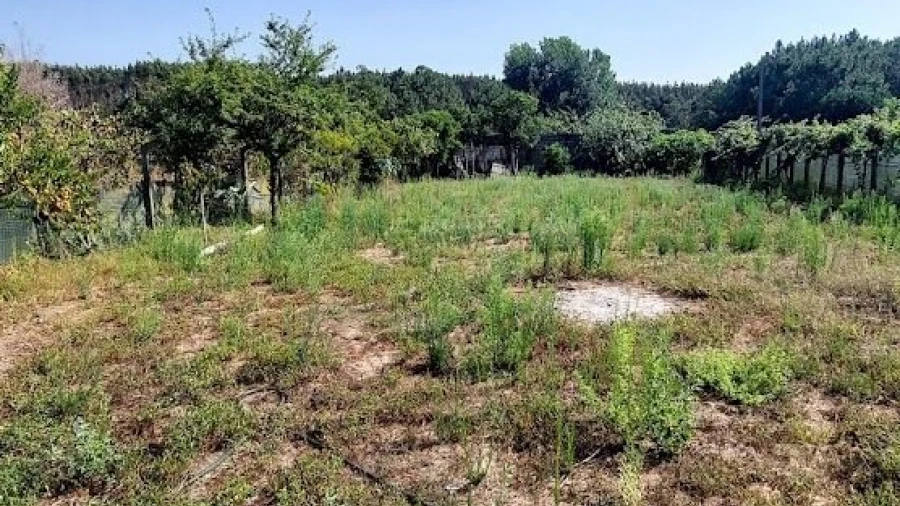 Terreno para Venda em Marrazes e Barosa
