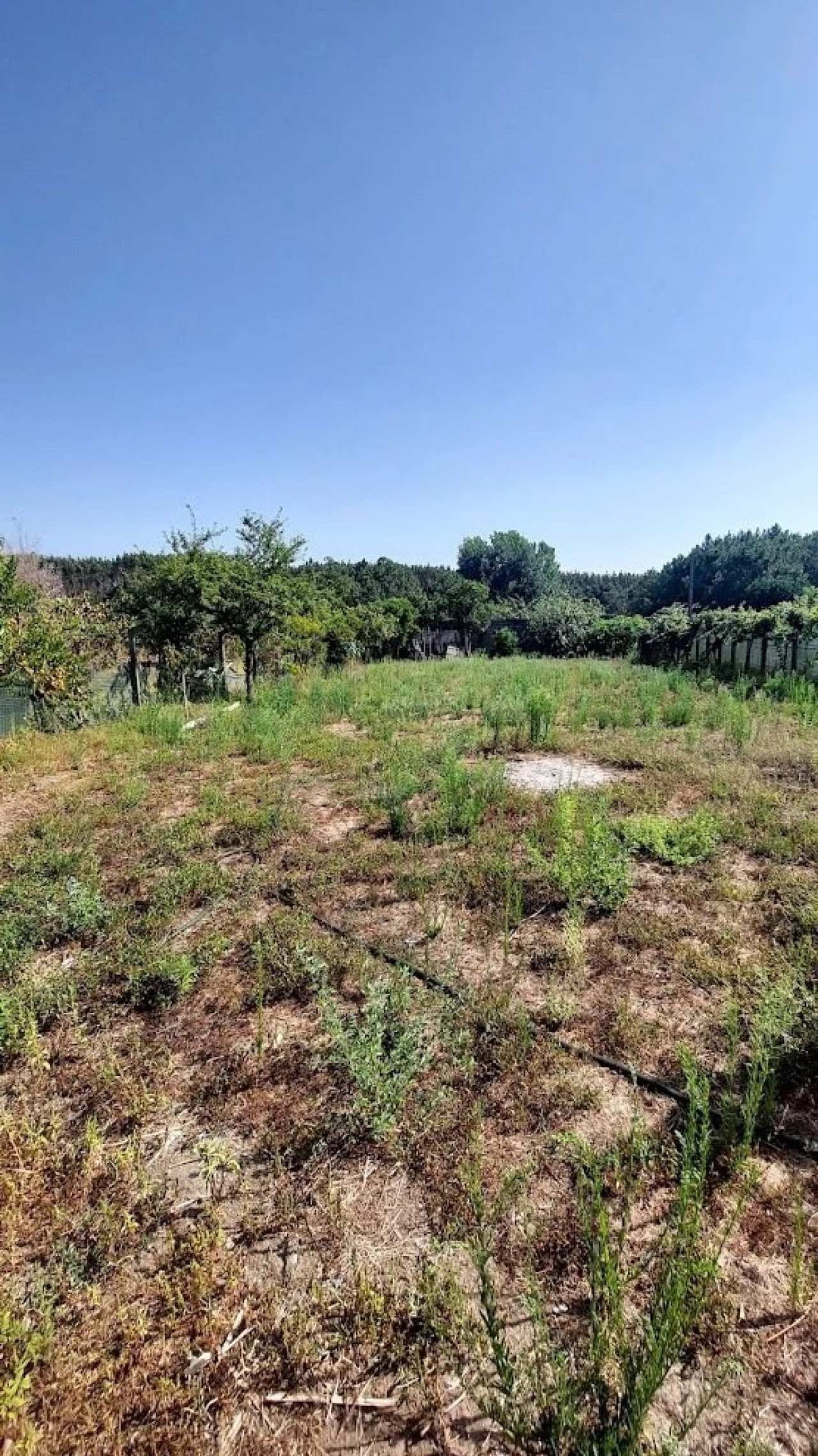 Terreno para Venda em Marrazes e Barosa Foto 1