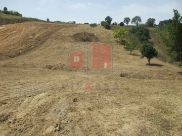 Terreno para Venda em Azueira e Sobral da Abelheira