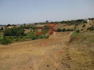 Terreno para Venda em Azueira e Sobral da Abelheira