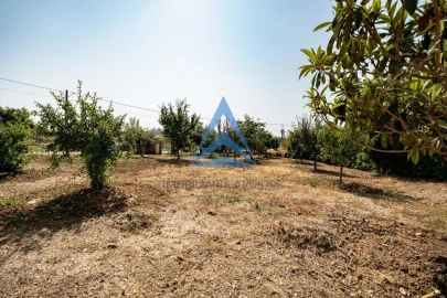 Terreno para Venda em Santiago e São Simão de Litém e Albergaria dos Doze
