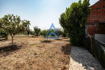 Terreno para Venda em Santiago e São Simão de Litém e Albergaria dos Doze