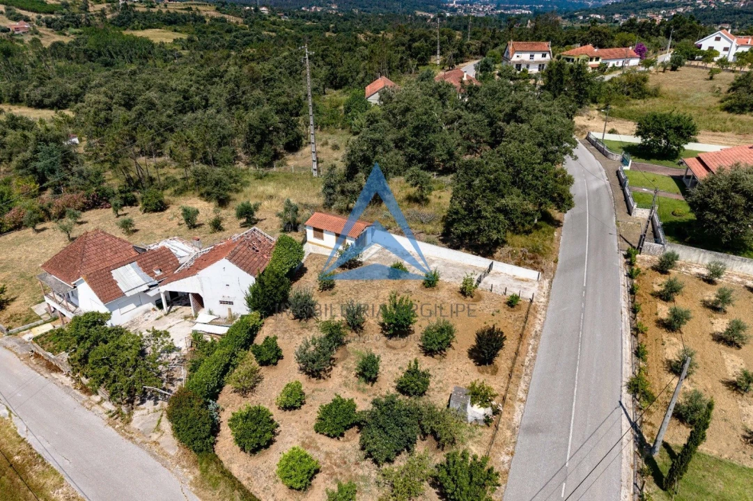 Terreno para Venda em Santiago e São Simão de Litém e Albergaria dos Doze Foto 15