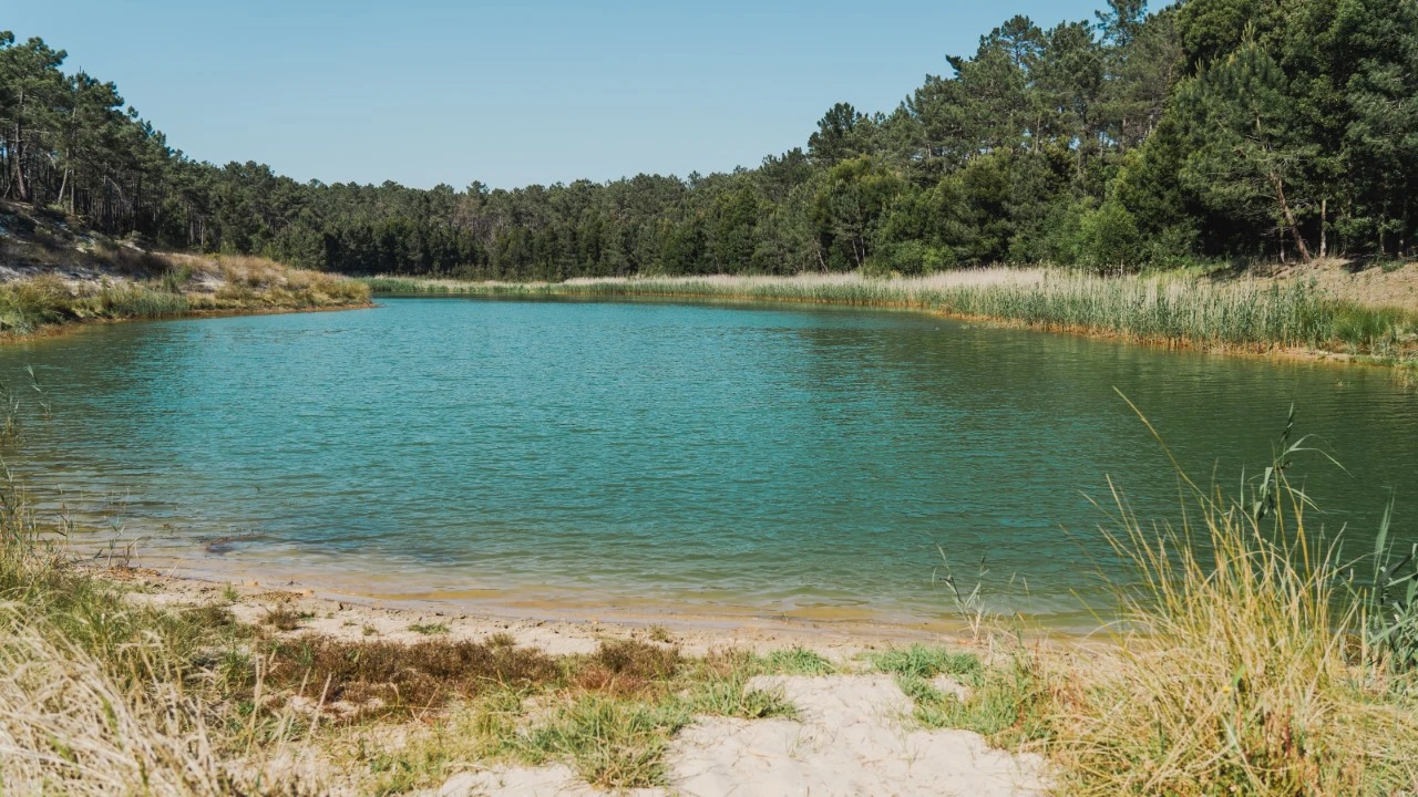 Terreno para Venda em Valado dos Frades Foto 13