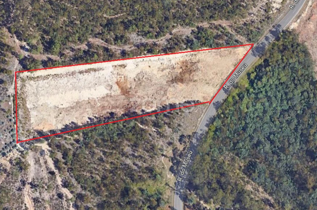 Terreno para Venda em São Martinho do Bispo e Ribeira de Frades Foto 4