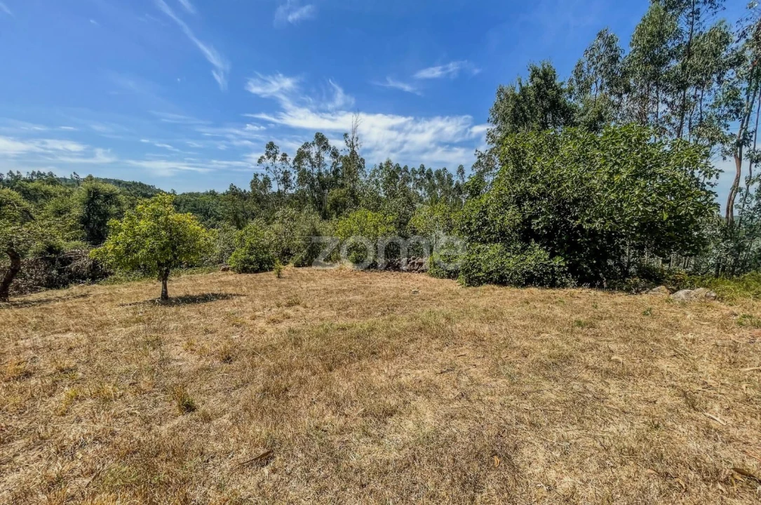 Moradia T5 para Venda em São Miguel, Santa Eufémia e Rabaçal Foto 40