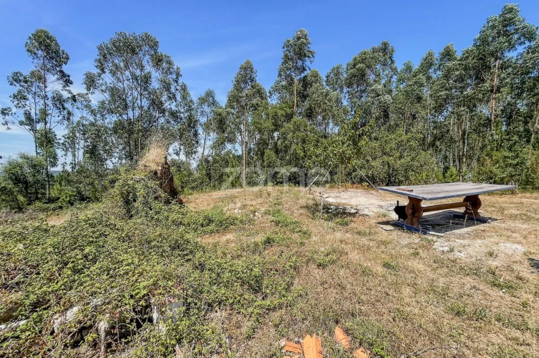 Moradia T5 para Venda em São Miguel, Santa Eufémia e Rabaçal Foto 30