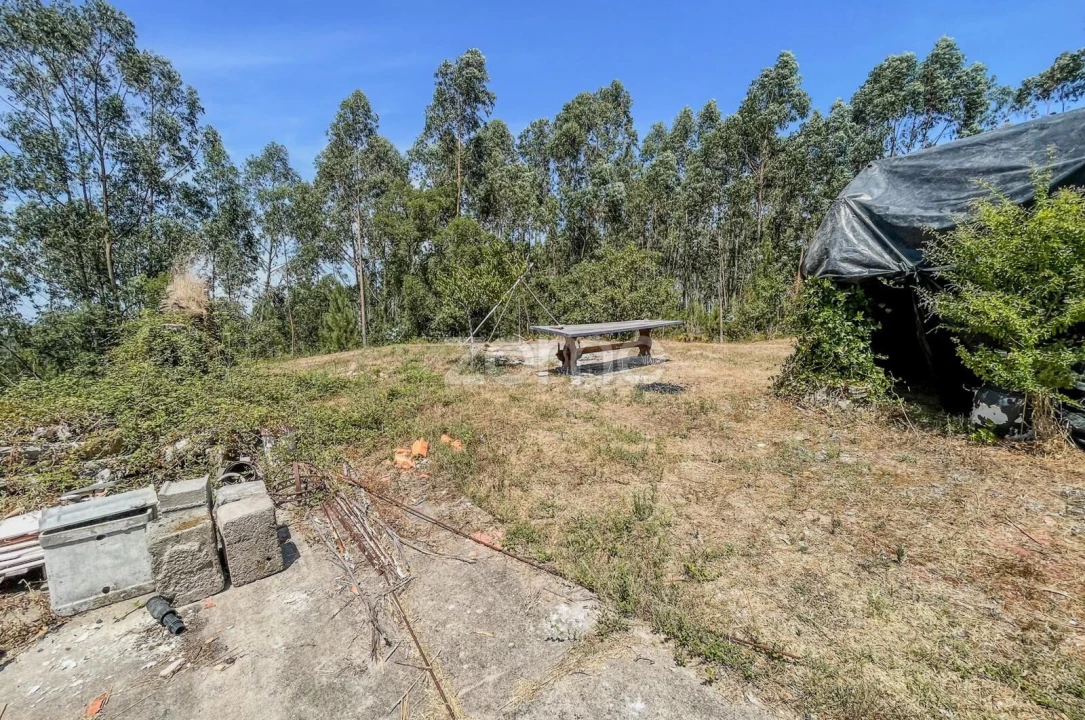 Moradia T5 para Venda em São Miguel, Santa Eufémia e Rabaçal Foto 39