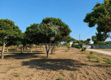 Quinta T2 para Venda em Alto do Seixalinho, Santo André e Verderena