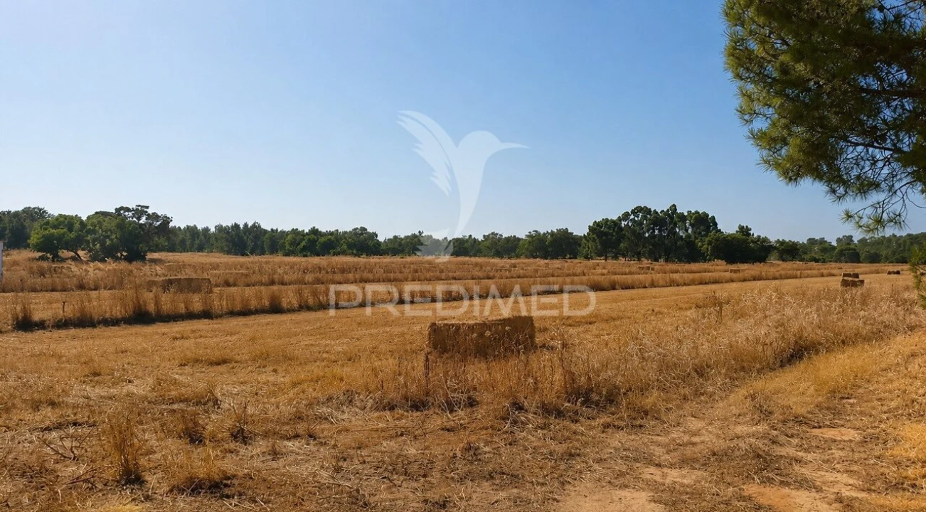 Quinta T2 para Venda em Alto do Seixalinho, Santo André e Verderena Foto 29