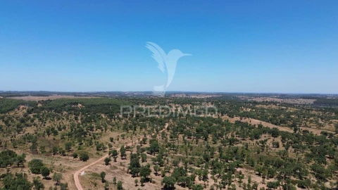 Quinta T0 para Venda em Cercal