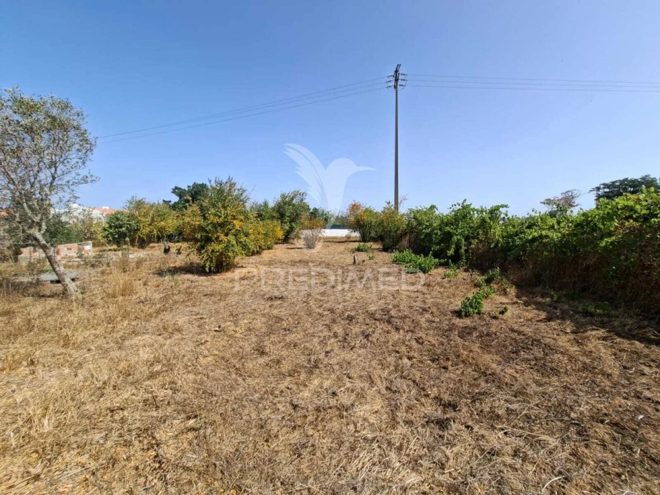 Terreno para Venda em Moita Foto 7