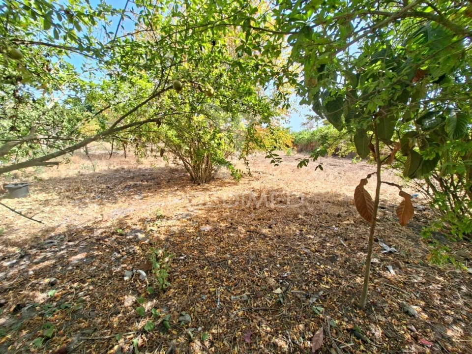 Terreno para Venda em Moita Foto 8