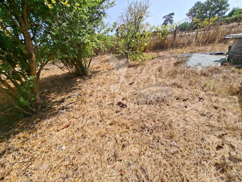 Terreno para Venda em Moita Foto 10