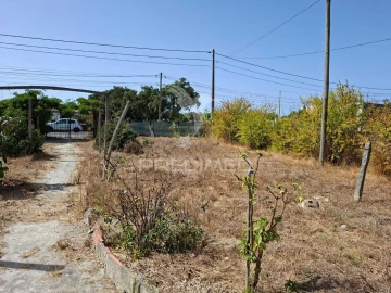 Terreno para Venda em Moita