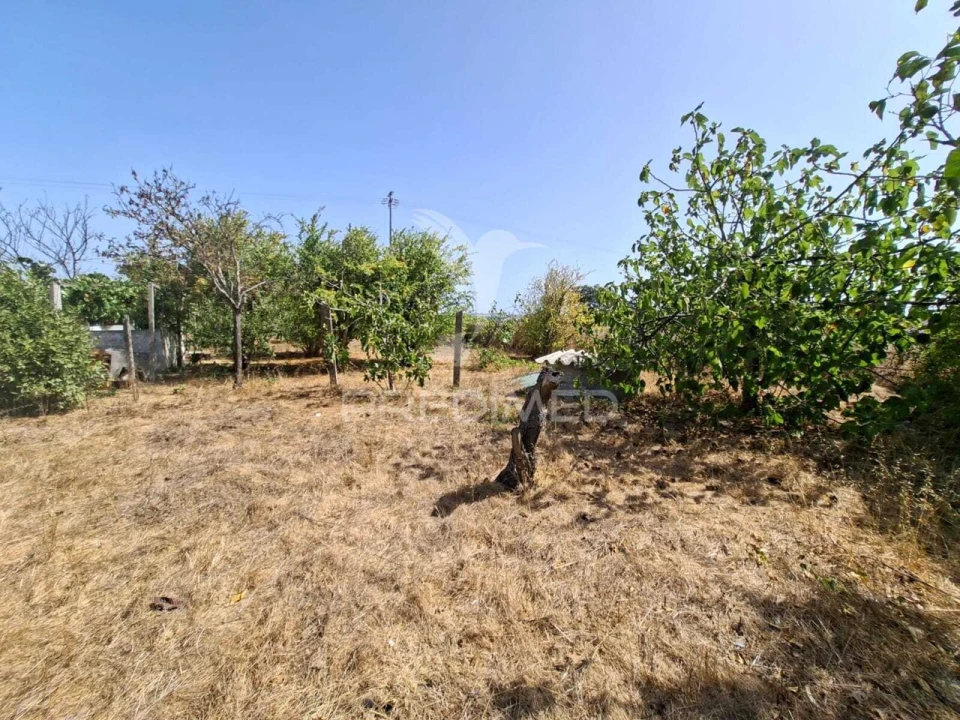 Terreno para Venda em Moita Foto 11