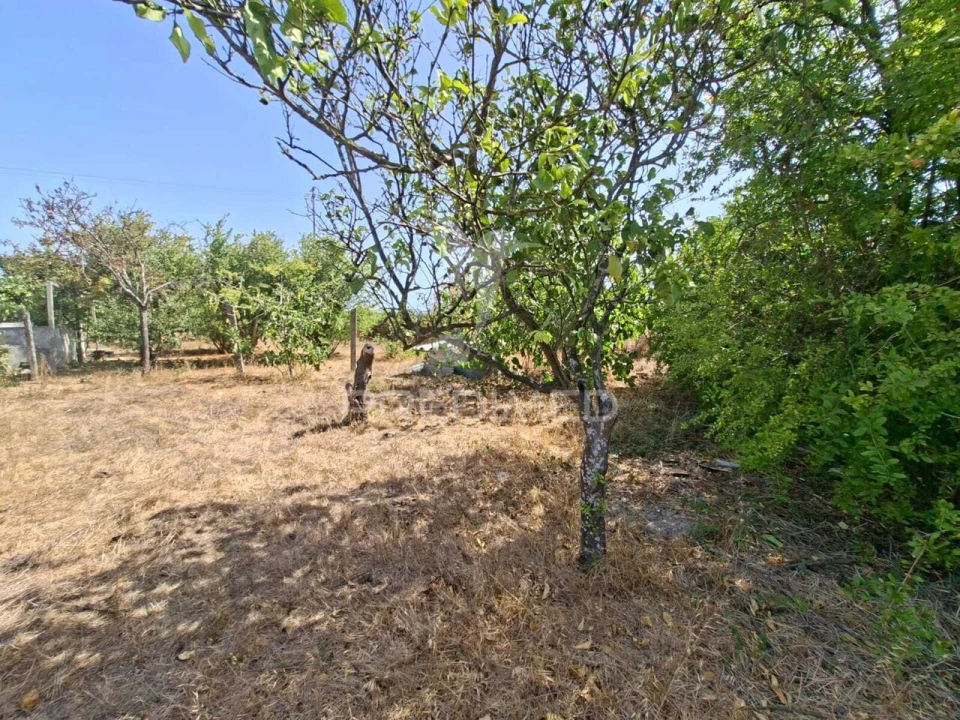 Terreno para Venda em Moita Foto 38