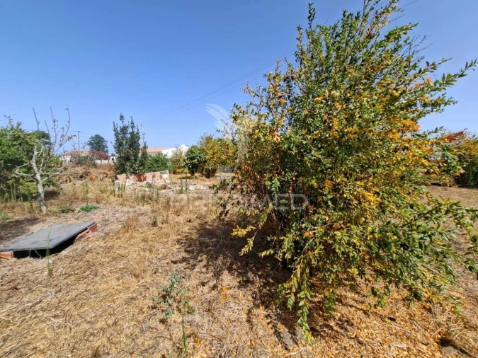 Terreno para Venda em Moita Foto 9