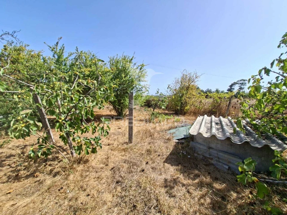Terreno para Venda em Moita Foto 30