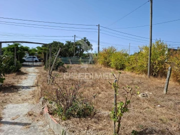 Terreno para Venda em Moita