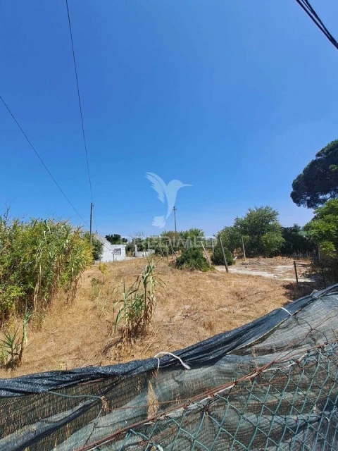 Terreno para Venda em Moita
