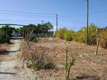 Terreno para Venda em Moita