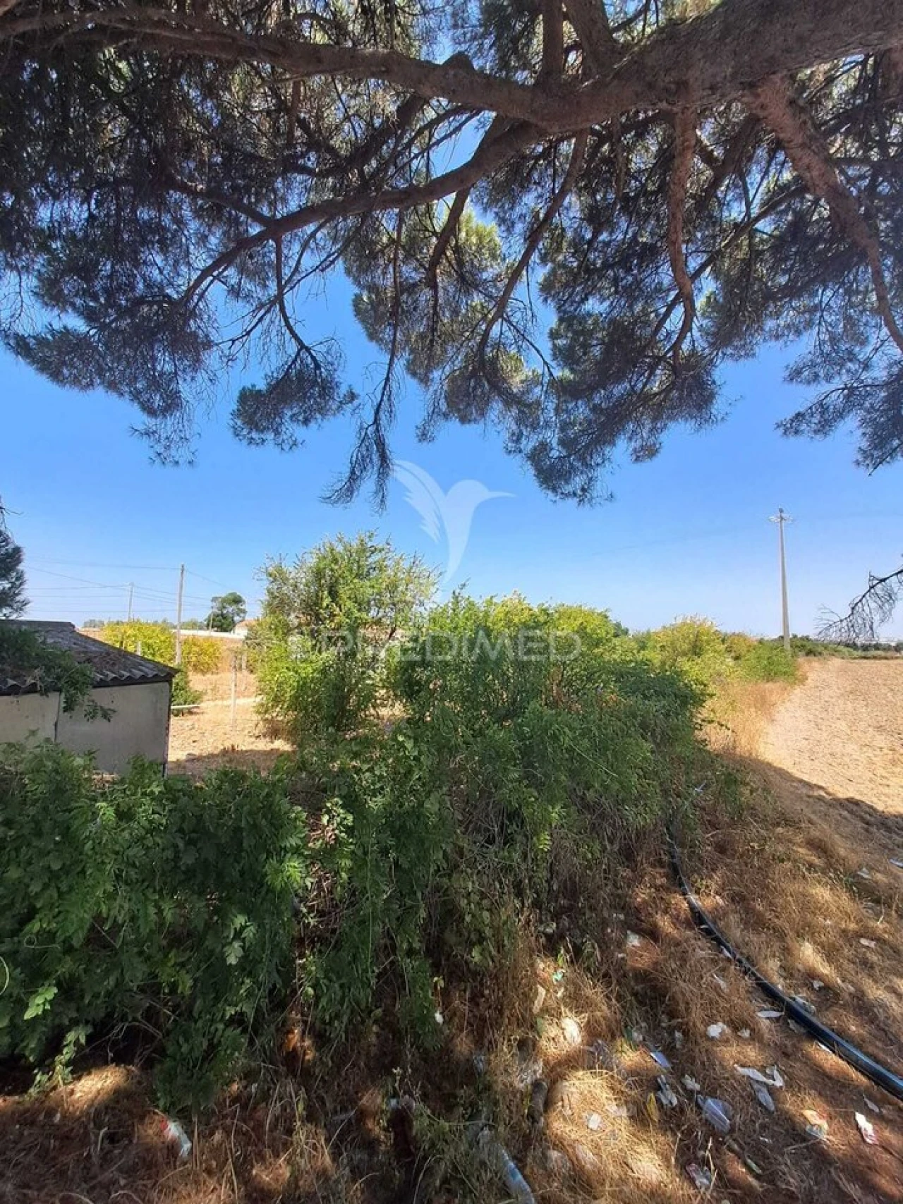 Terreno para Venda em Moita Foto 34