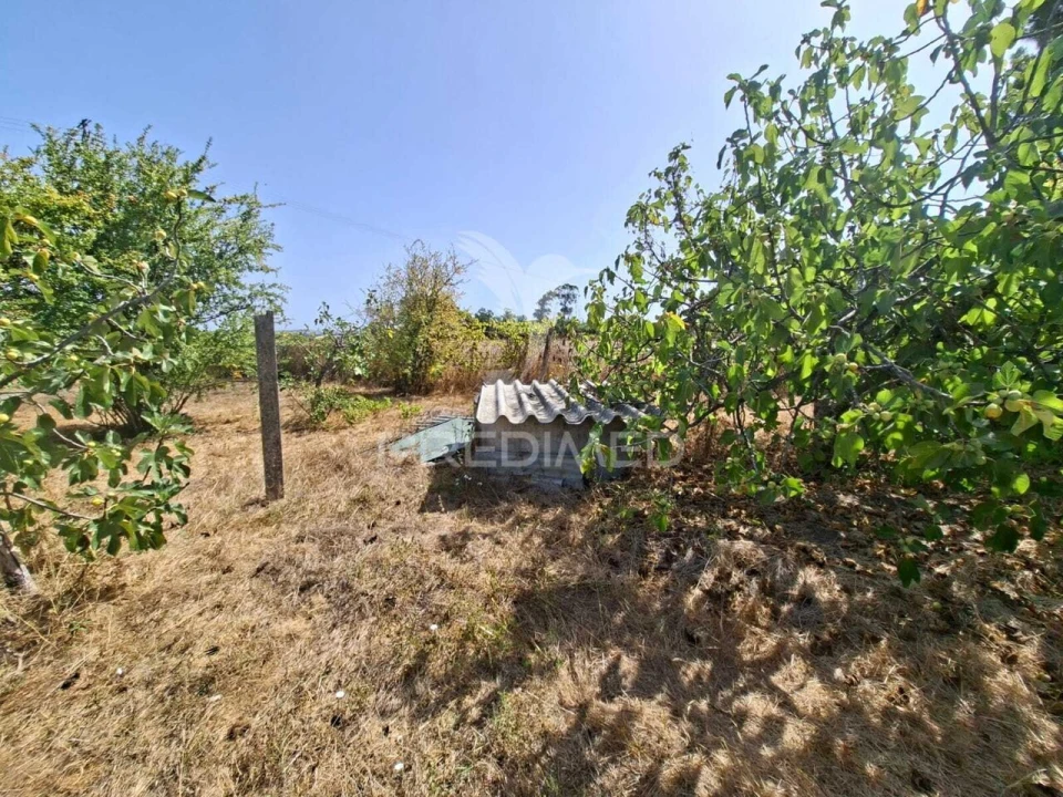 Terreno para Venda em Moita Foto 9