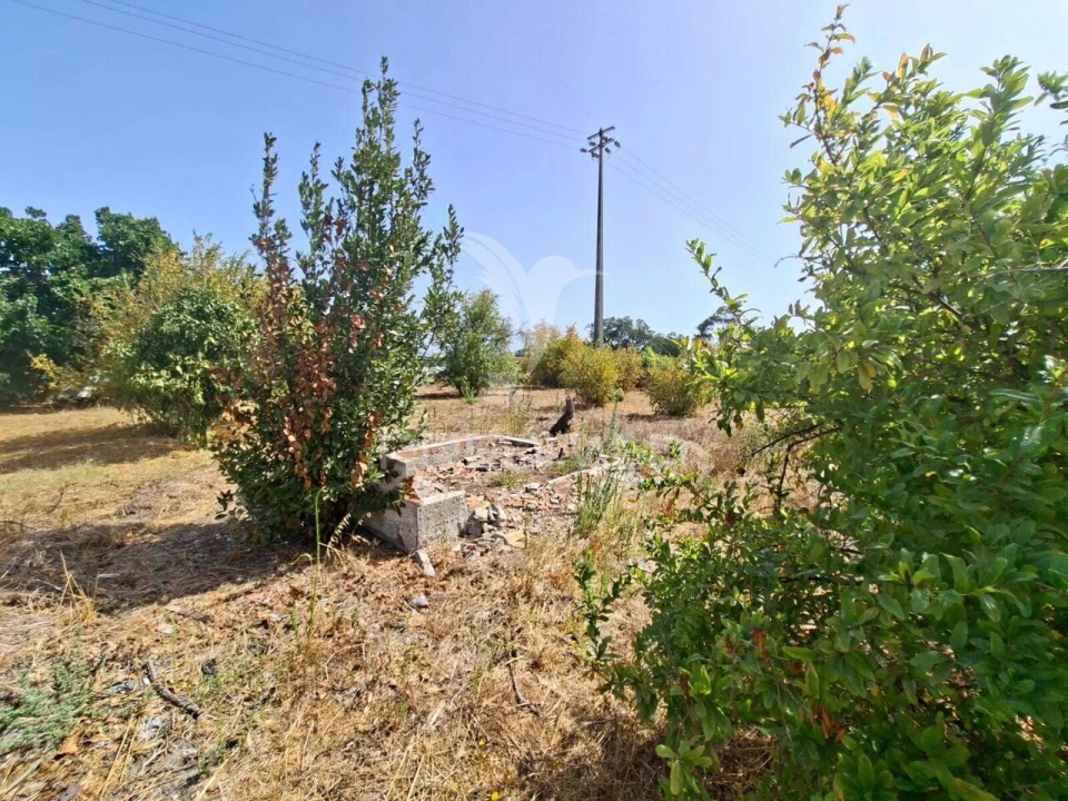 Terreno para Venda em Moita Foto 14