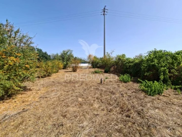 Terreno para Venda em Moita
