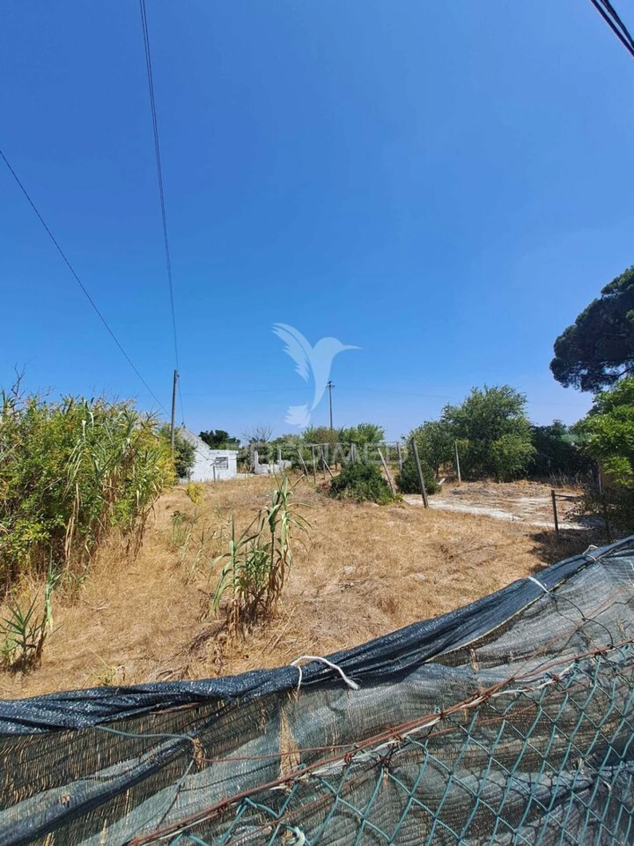 Terreno para Venda em Moita Foto 27