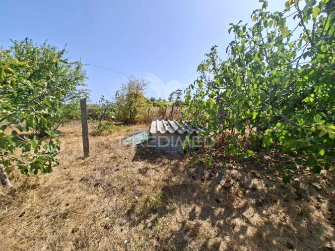 Terreno para Venda em Moita Foto 9