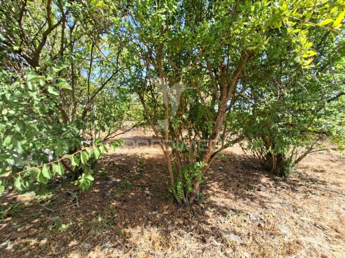 Terreno para Venda em Moita Foto 7
