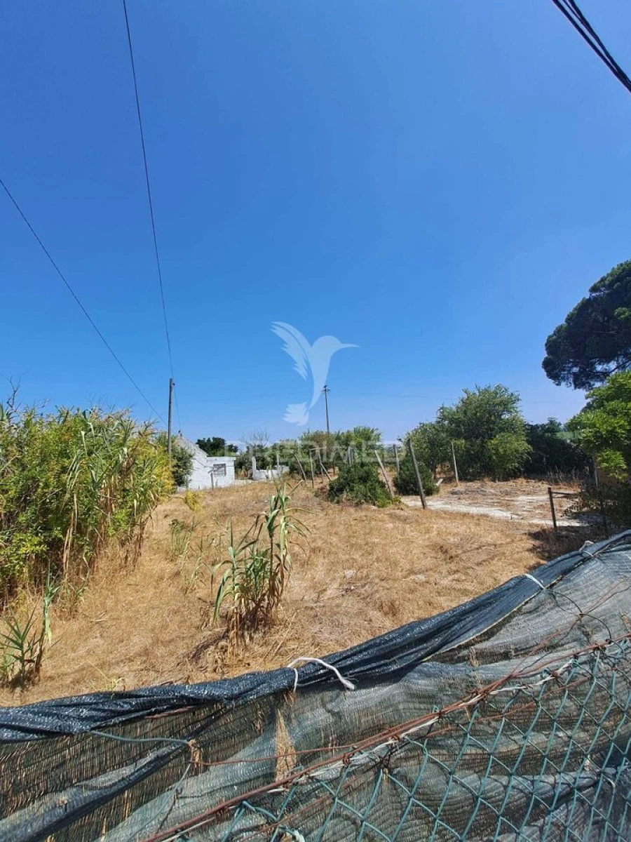 Terreno para Venda em Moita Foto 28