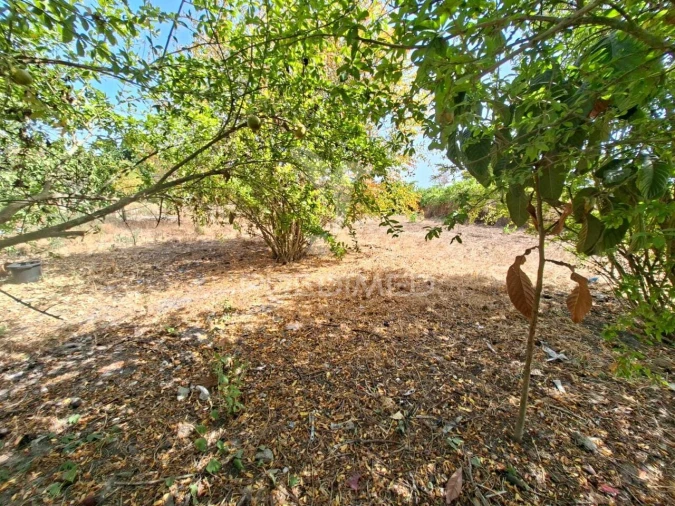 Terreno para Venda em Moita Foto 6