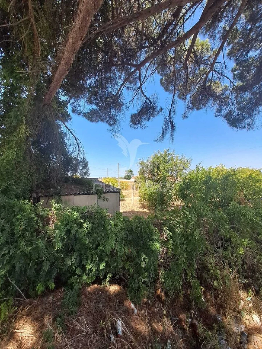 Terreno para Venda em Moita Foto 32