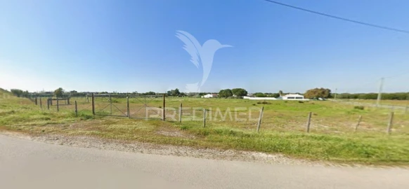Terreno para Arrendamento em Grândola e Santa Margarida da Serra