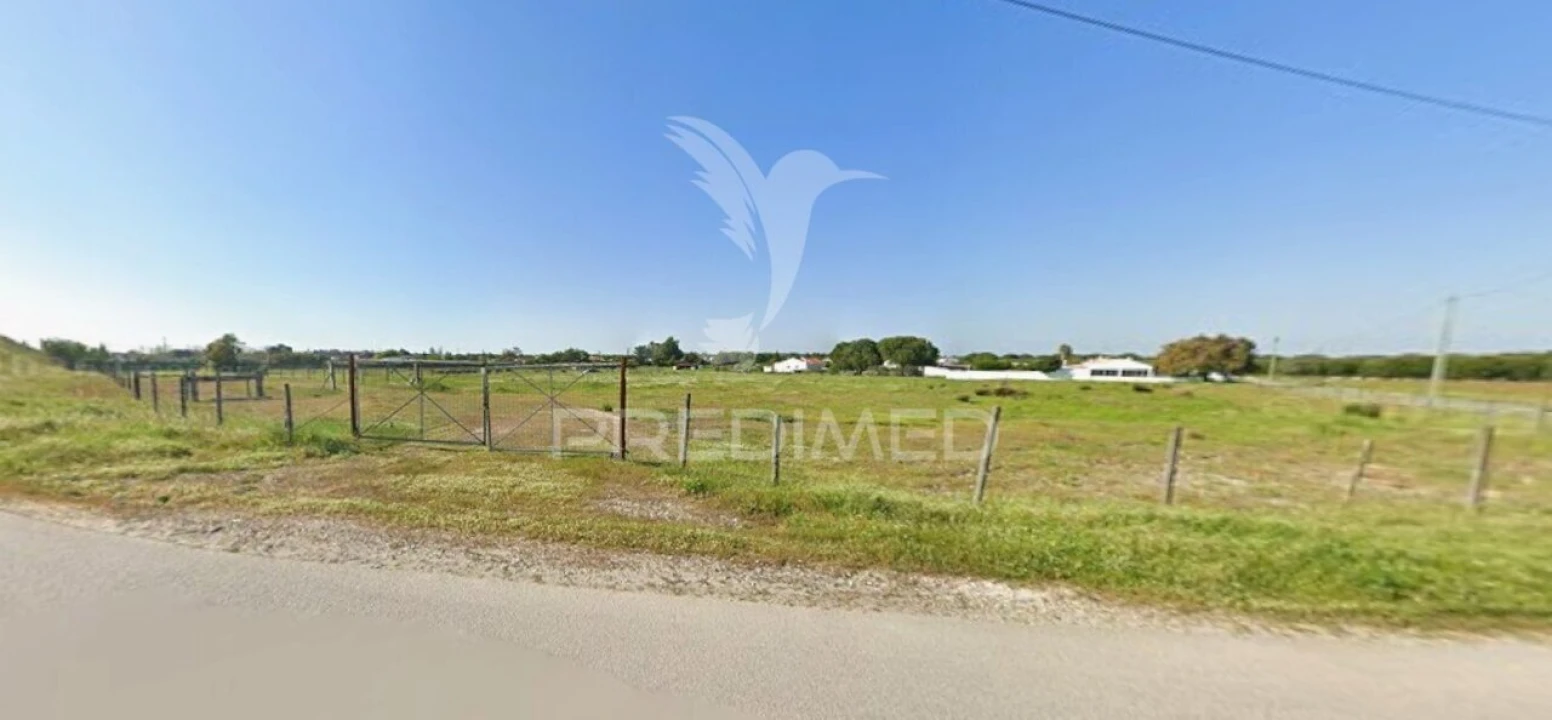 Terreno para Arrendamento em Grândola e Santa Margarida da Serra Foto 3