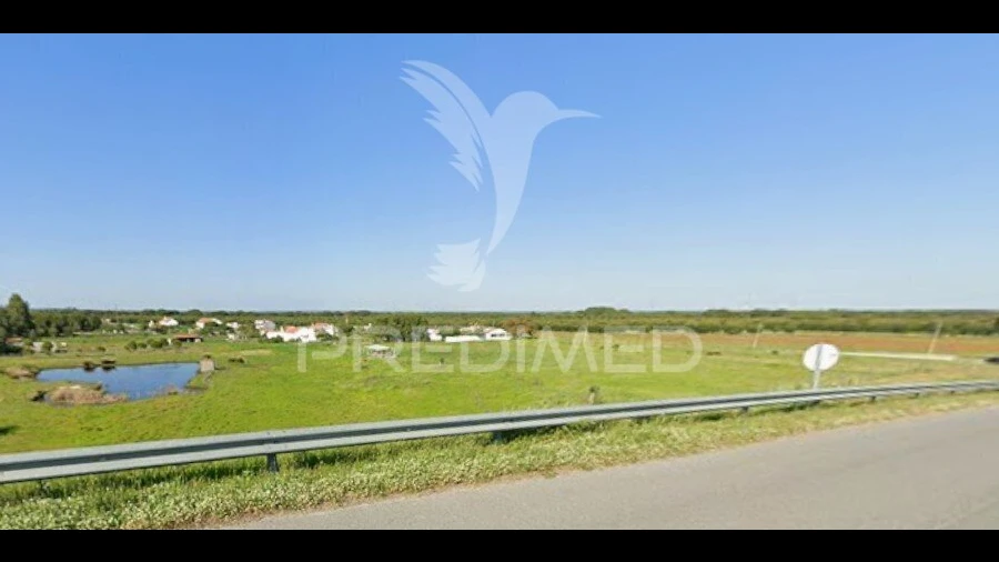 Terreno para Arrendamento em Grândola e Santa Margarida da Serra