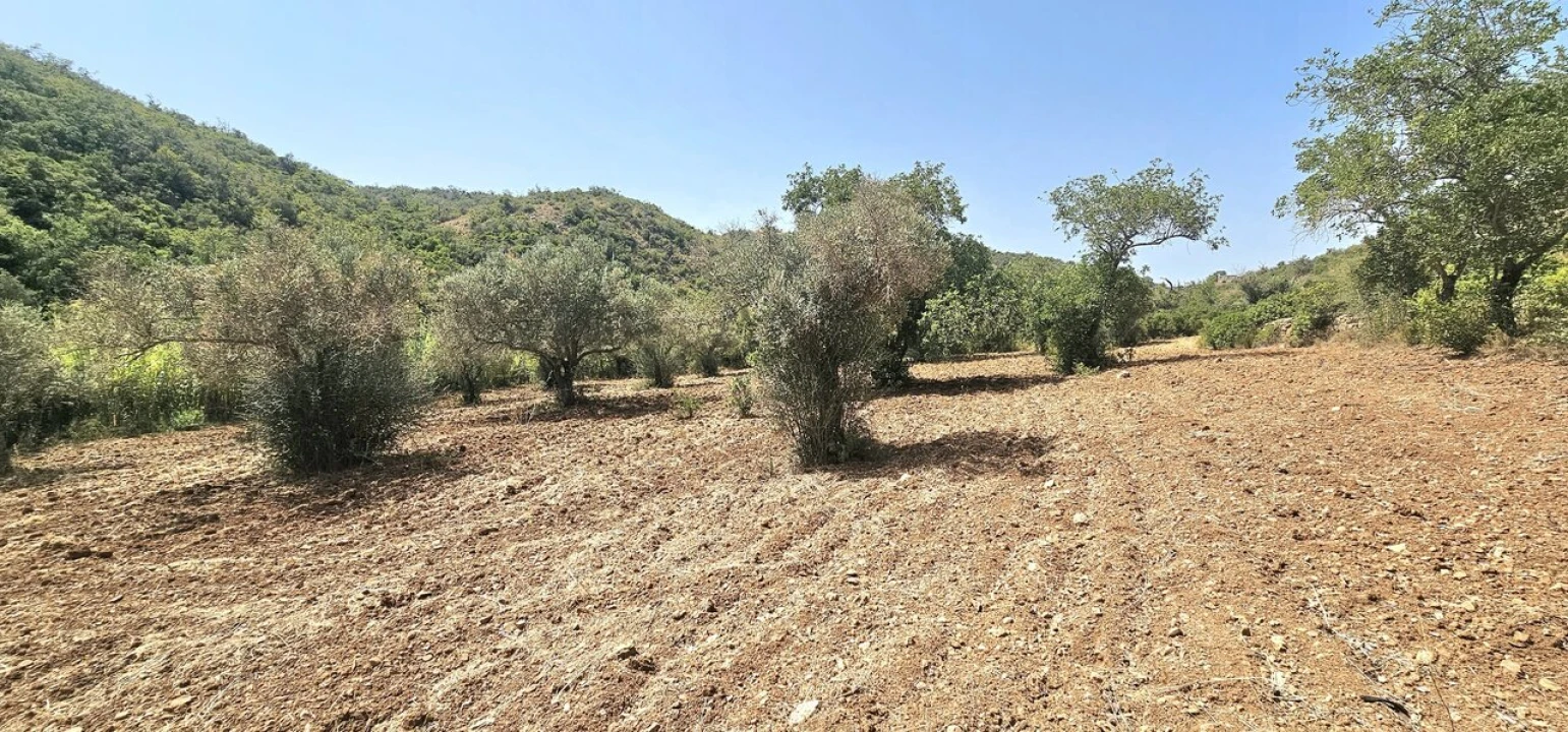 Terreno para Venda em Paderne Foto 2
