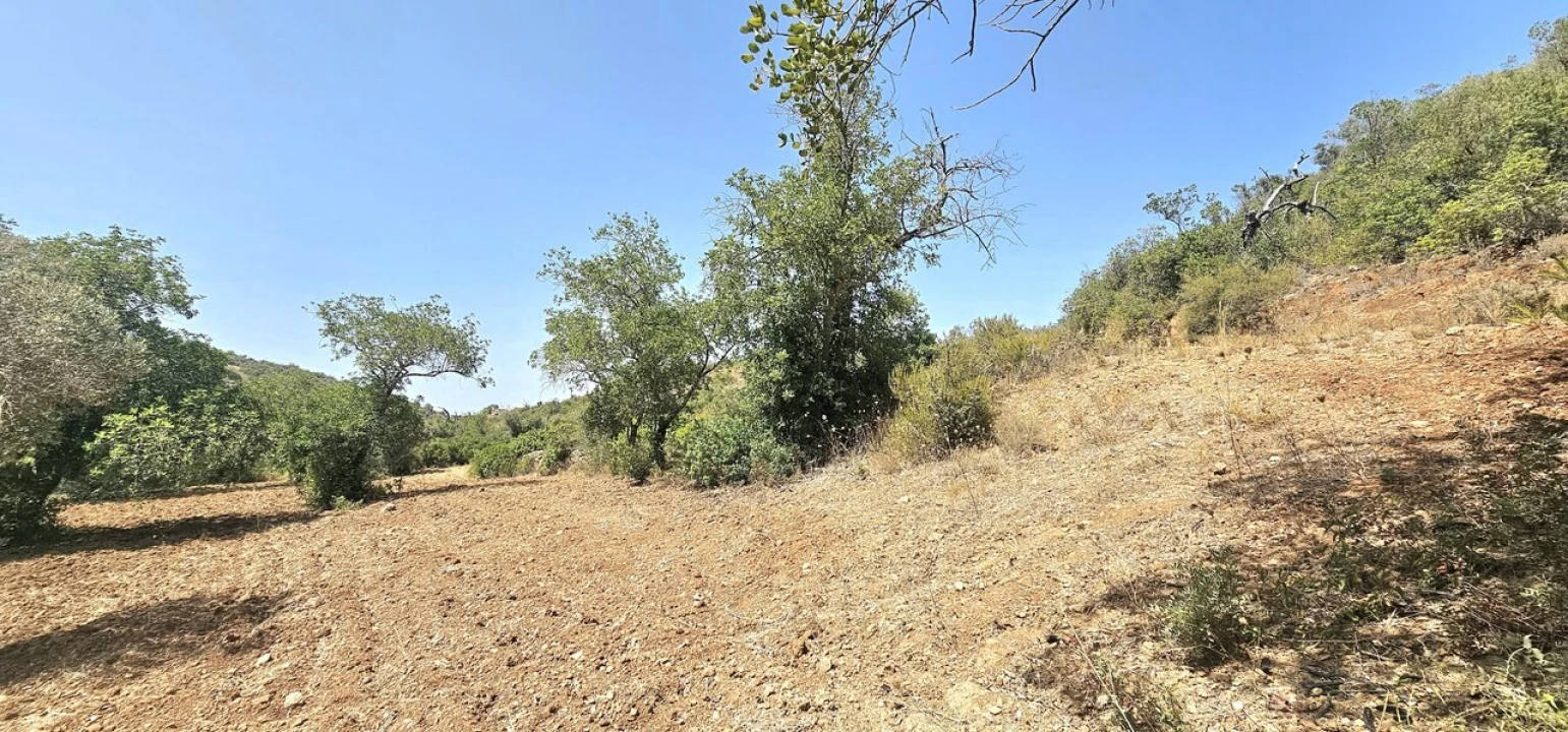 Terreno para Venda em Paderne Foto 3