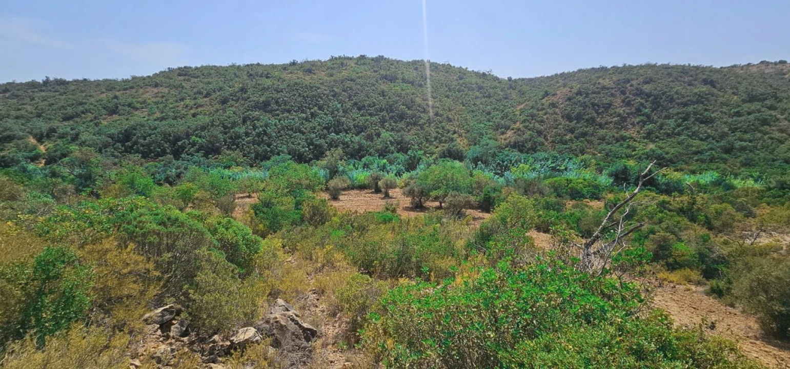 Terreno para Venda em Paderne Foto 4