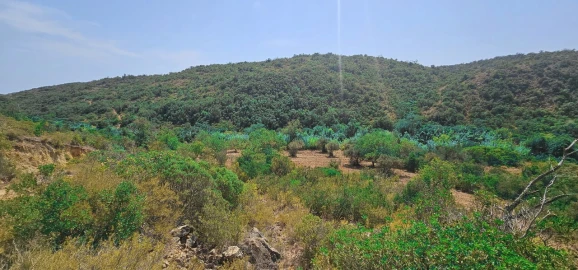 Terreno para Venda em Paderne