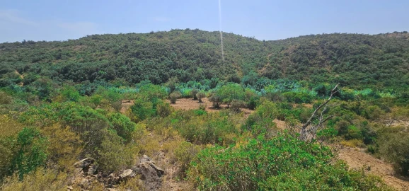 Terreno para Venda em Paderne