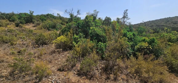 Terreno para Venda em Paderne