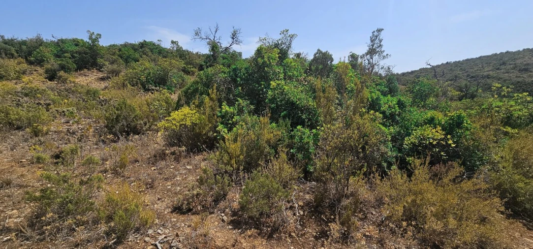 Terreno para Venda em Paderne Foto 6