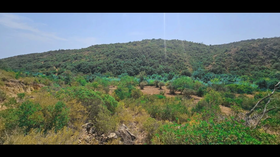 Terreno para Venda em Paderne