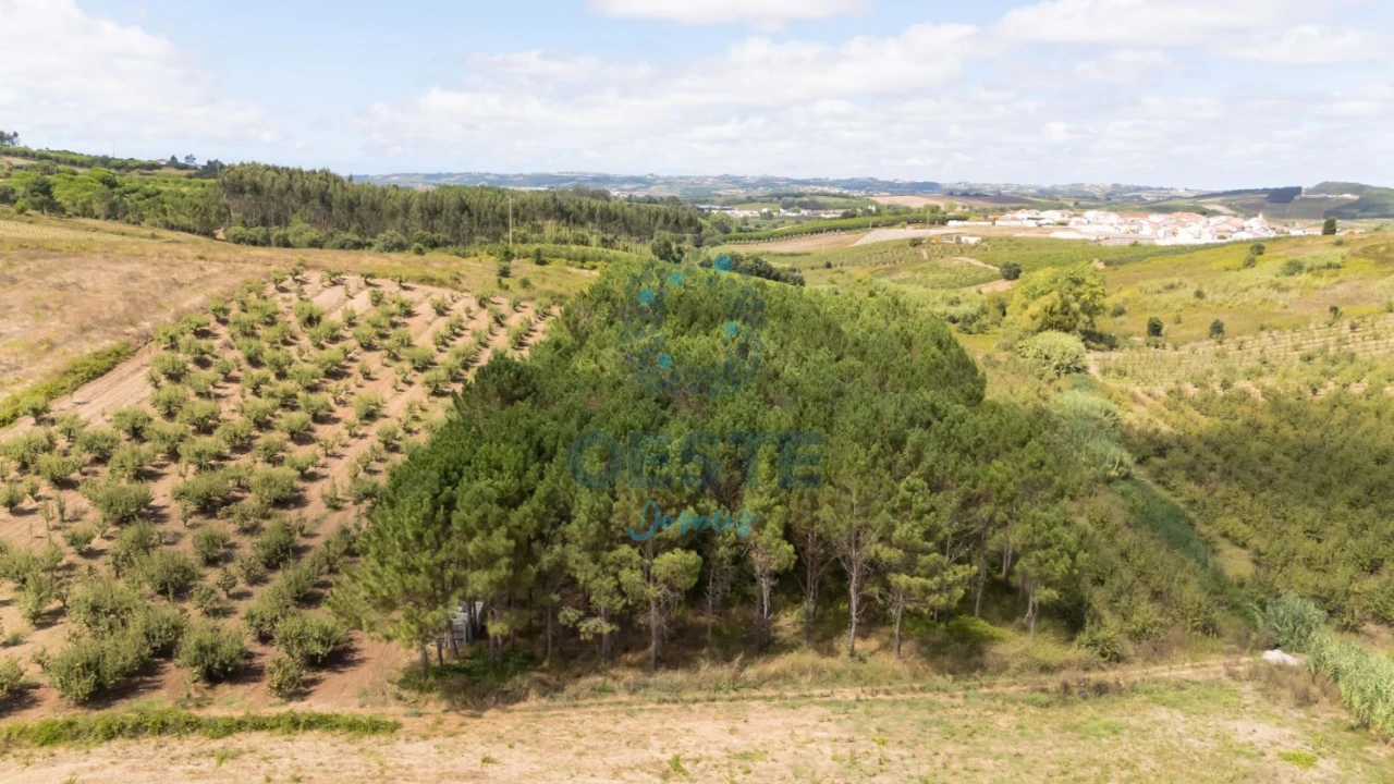 Terreno para Venda em Bombarral e Vale Covo Foto 3